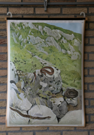 Slang Juraviper