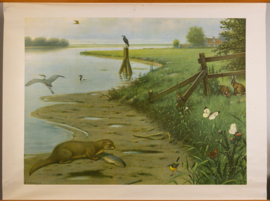 Aan de rivier