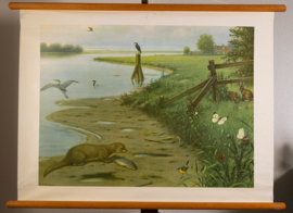 Aan de rivier