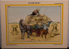 Tekenserie “Nu we er zijn “ nr. 19