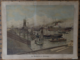 De Maashaven te Rotterdam