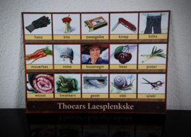 6 Leesplankjes Dialect