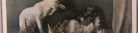 Katten