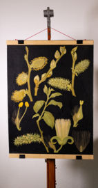 Wilg Litho