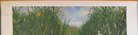 Het Naardermeer