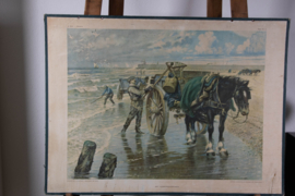 Het schelpenvisschen