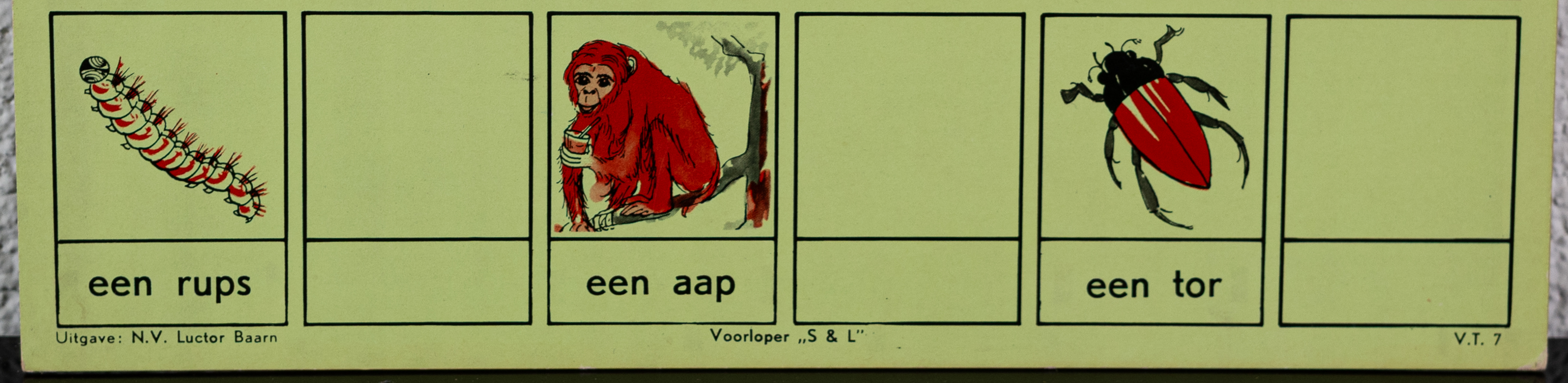 Leesplankje Luctor Baarn Een Lam  Een Does  Een Spin