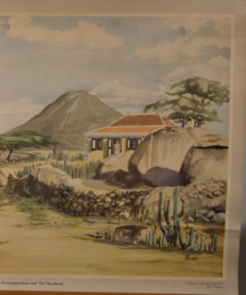 Arubaans Koenoekoehuis met de Hooiberg