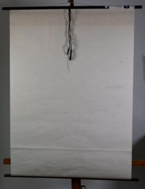 Witte Dovenetel