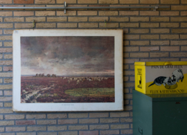 De Drentsche heide