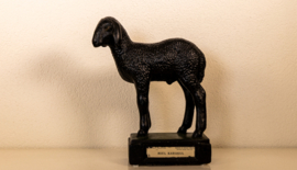 Schaap Lam Karakul .