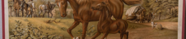 Paard en veulen