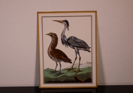 Vogelplaatje 1 Litho