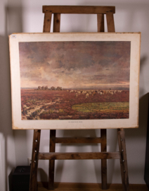 De Drentsche heide