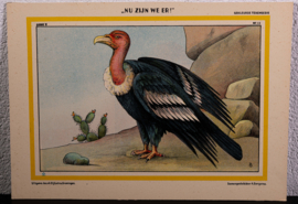 Tekenserie “Nu we er zijn “ nr. 12