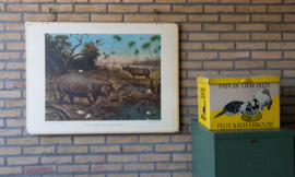 In het gebied vd Boven Nijl