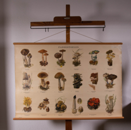 Paddestoelen II