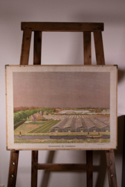 Groenteteelt bij Loosduinen 3