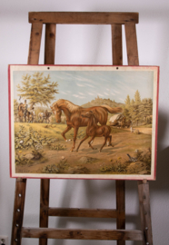 Paard en veulen