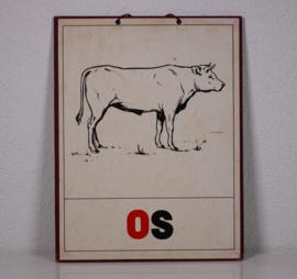 Os