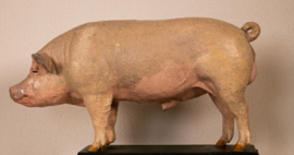 Varken Groot-Yorkshire