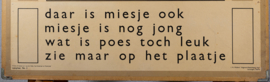 Daar is Miesje ook . De tuin hoort bij school. 2Zijdig