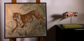 Tijger