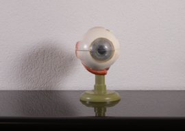Oog 21 cm