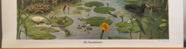 Het Naardermeer