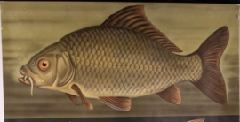 Karper Litho
