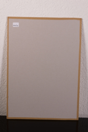 Bonte Strandloper Litho