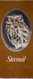 Buizerd Steenuil Torenvalk