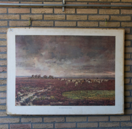 De Drentsche heide