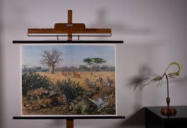 Aan de rand der Kalahari