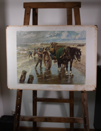 Het schelpenvisschen