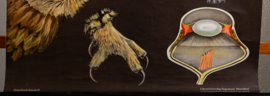 Roofvogel  en Uil       Litho