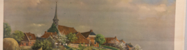 Terp Niehove