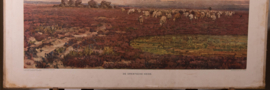 De Drentsche heide