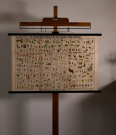 Schadelijke insecten