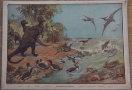 Prehistorie