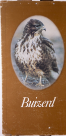 Buizerd Steenuil Torenvalk