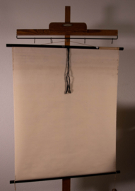 Erfelijkheidsleer  Erwt II Litho