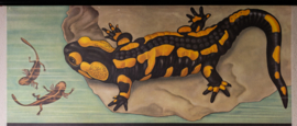 Vuur en Kamsalamander