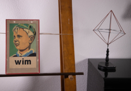 12 Wim