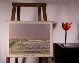 Groenteteelt bij Loosduinen  I