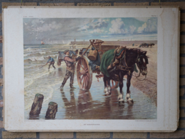 Het schelpenvisschen