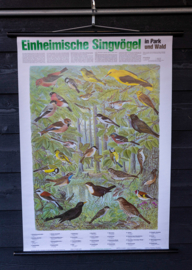 Zangvogels oa Wielewaal en Goudvink