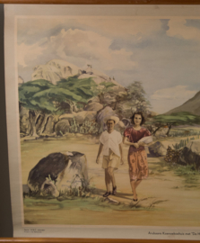 Arubaans Koenoekoehuis met de Hooiberg