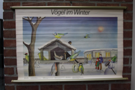 Vogels in de winter