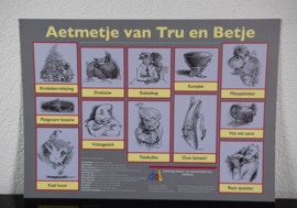 6 Leesplankjes Dialect